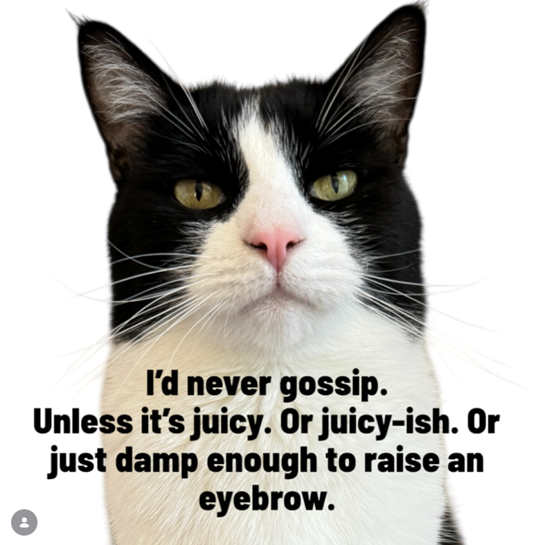 I'd never gossip. Unless it's juicy. Or juicy-ish. Or just damp enough to raise an eyebrow.