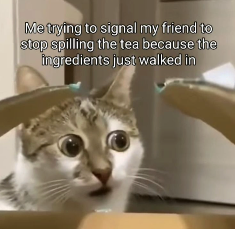 Me trying to signal my friend to stop spilling the tea because the ingredients just walked in