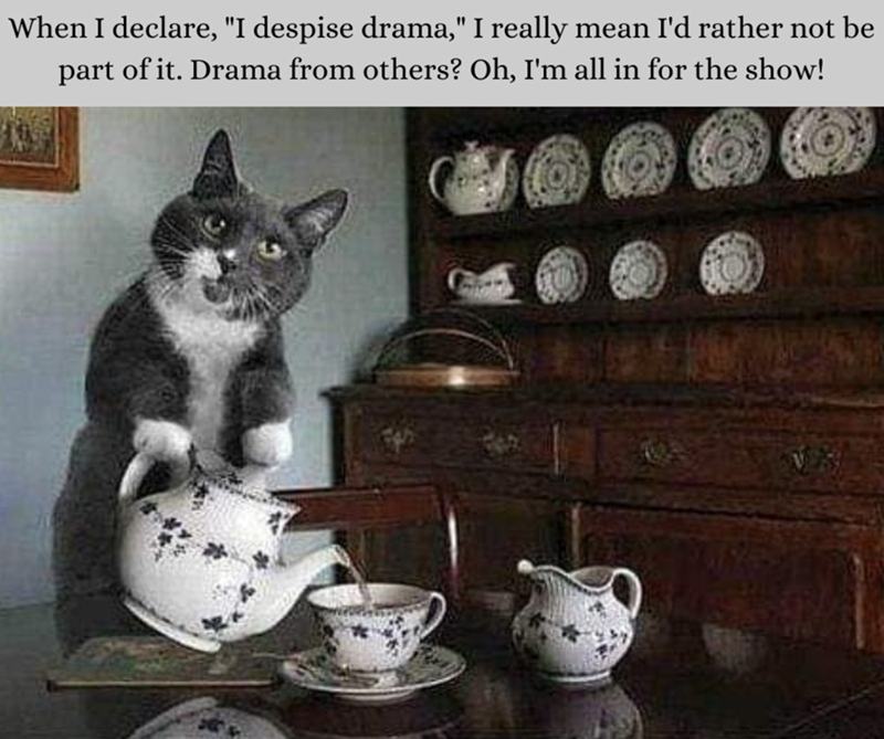 When I declare, "I despise drama," I really mean I'd rather not be part of it. Drama from others? Oh, I'm all in for the show!