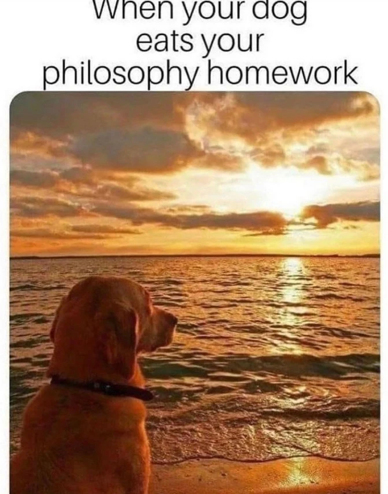 When your dog eats your philosophy homework