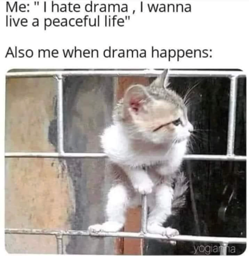 Me: "I hate drama, I wanna live a peaceful life" Also me when drama happens: yogianna