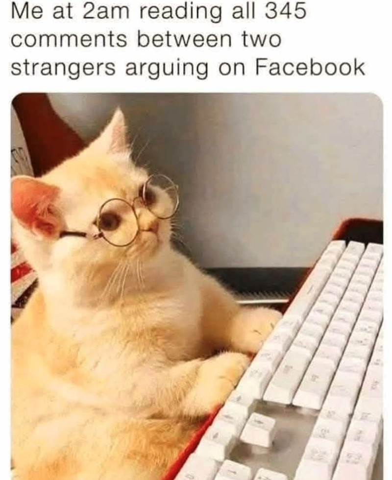 Me at 2am reading all 345 comments between two strangers arguing on Facebook