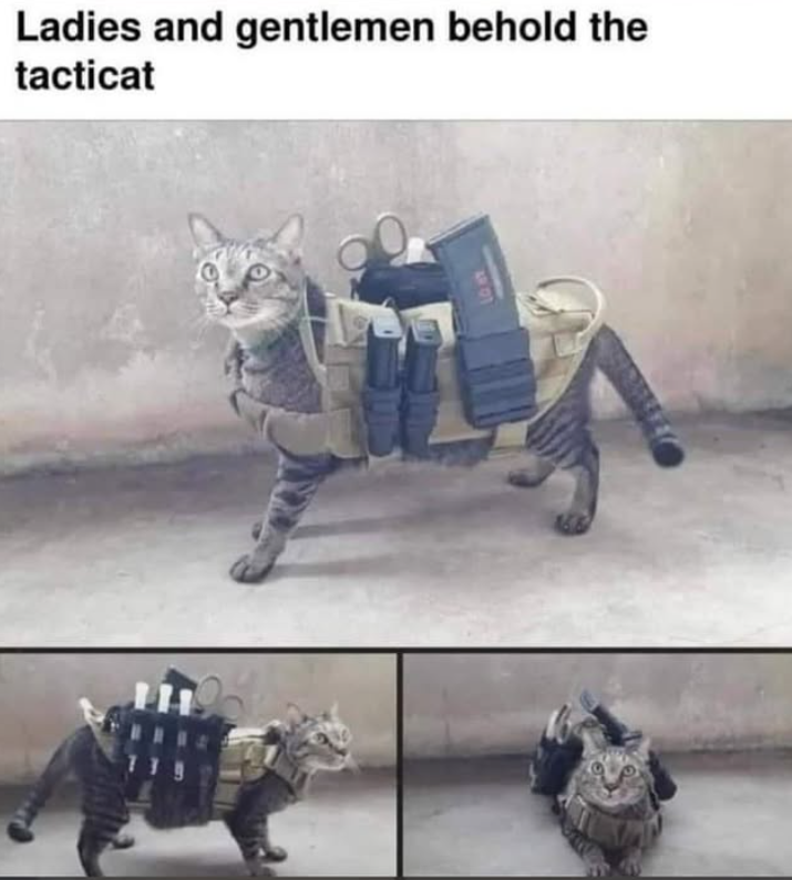Ladies and gentlemen behold the tacticat