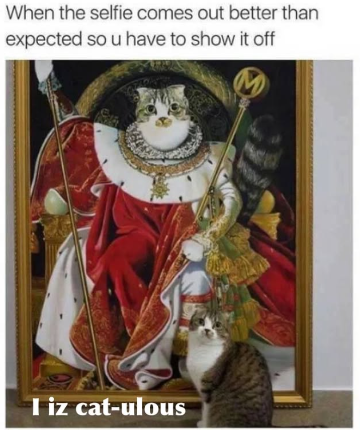 When the selfie comes out better than expected so u have to show it off I iz cat-ulous