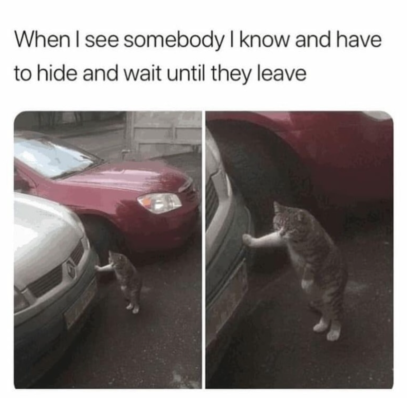 When I see somebody I know and have to hide and wait until they leave
