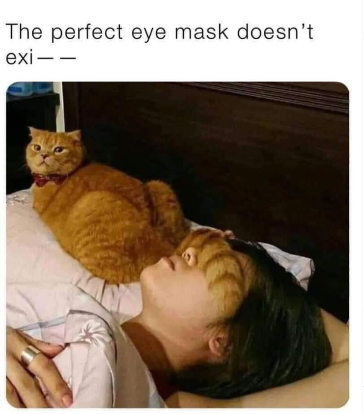 The perfect eye mask doesn't exi-