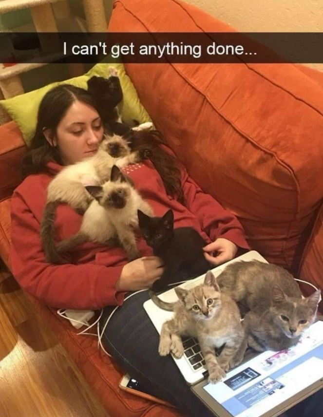 I can't get anything done...