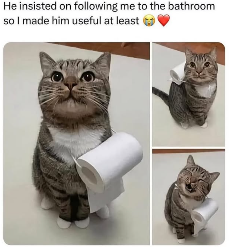 He insisted on following me to the bathroom so I made him useful at least