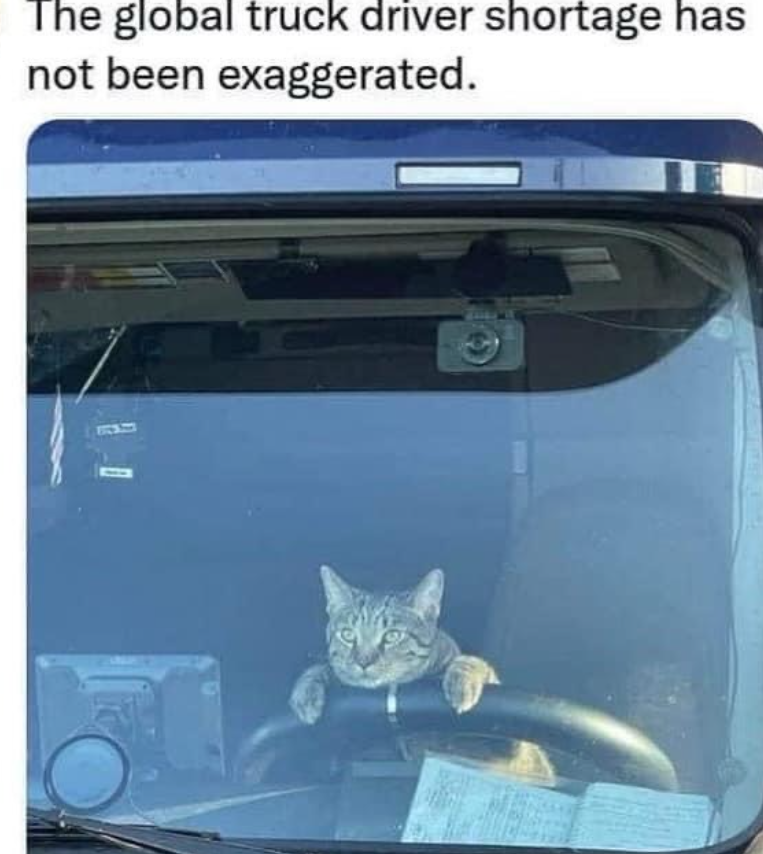 The global truck driver shortage has not been exaggerated.