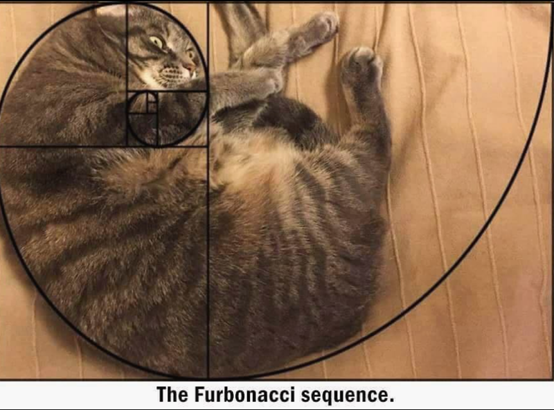 The Furbonacci sequence.