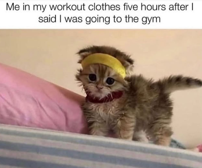 Me in my workout clothes five hours after I said I was going to the gym