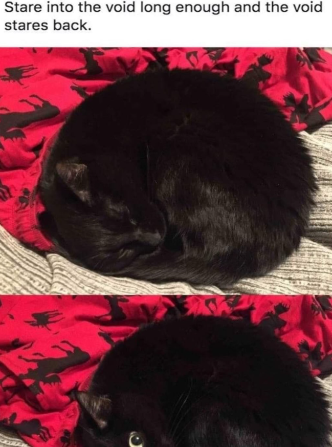 Stare into the void long enough and the void stares back.