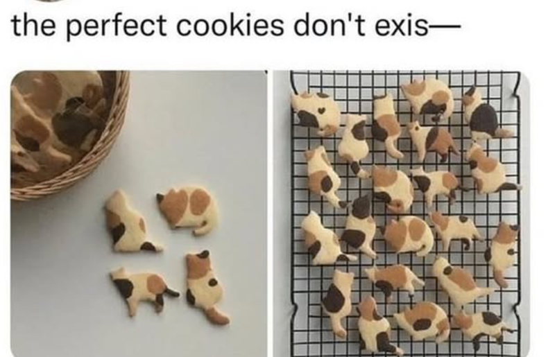 the perfect cookies don't exis-