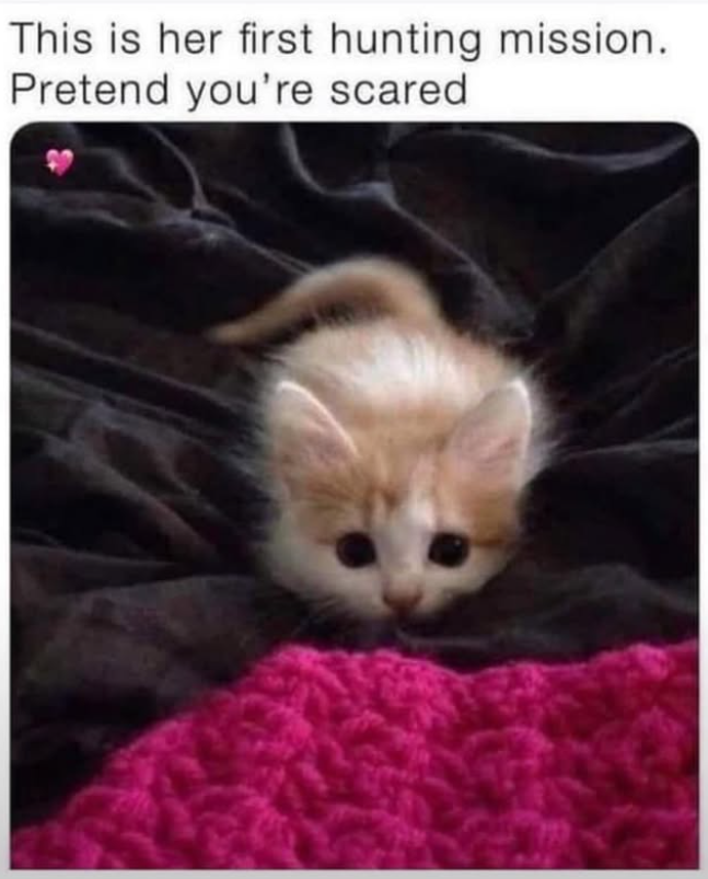 This is her first hunting mission. Pretend you're scared