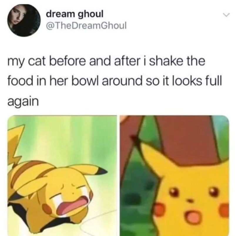 dream ghoul @TheDreamGhoul my cat before and after i shake the food in her bowl around so it looks full again