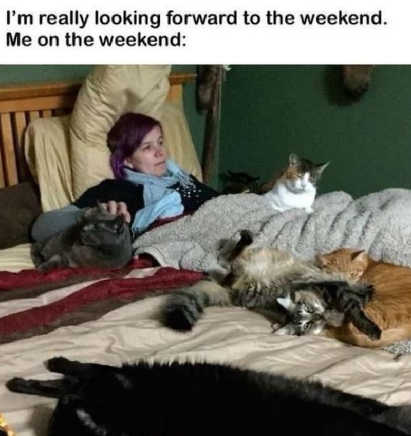 I'm really looking forward to the weekend. Me on the weekend: