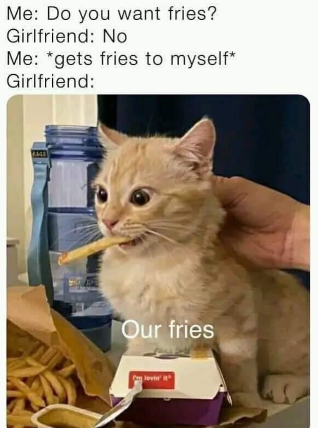 Me: Do you want fries? Girlfriend: No Me: *gets fries to myself* Girlfriend: Our fries Fm lovin' it