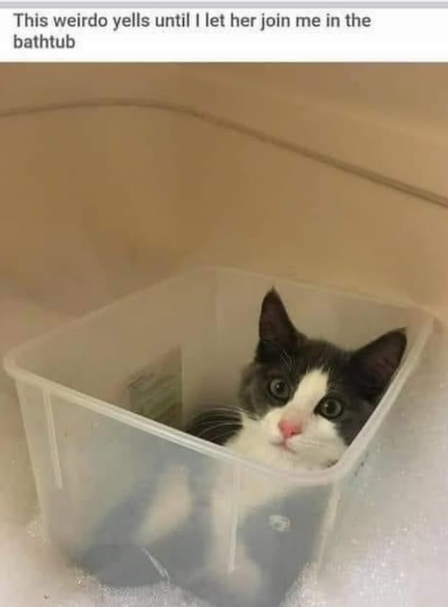 This weirdo yells until I let her join bathtub me in the