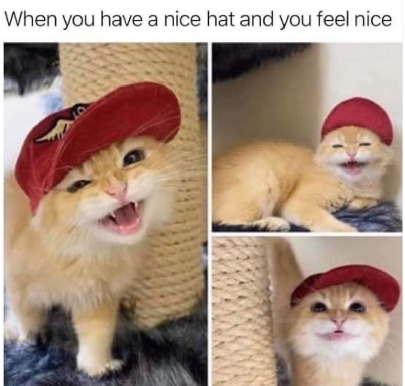 When you have a nice hat and you feel nice
