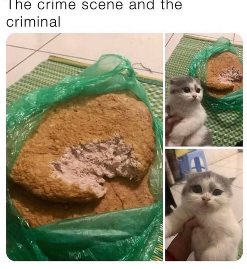 The crime scene and the criminal