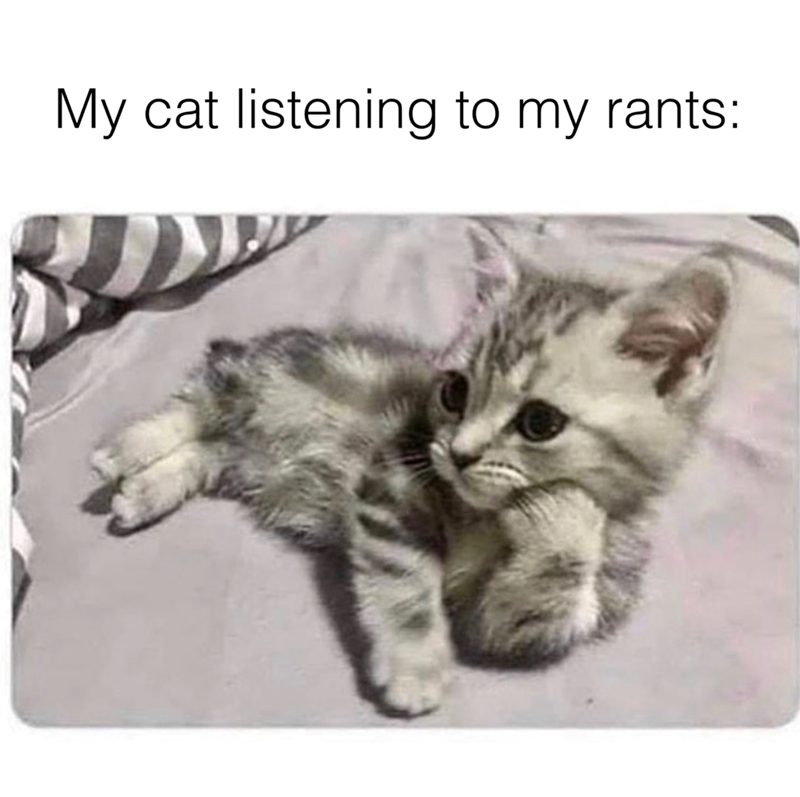 My cat listening to my rants: