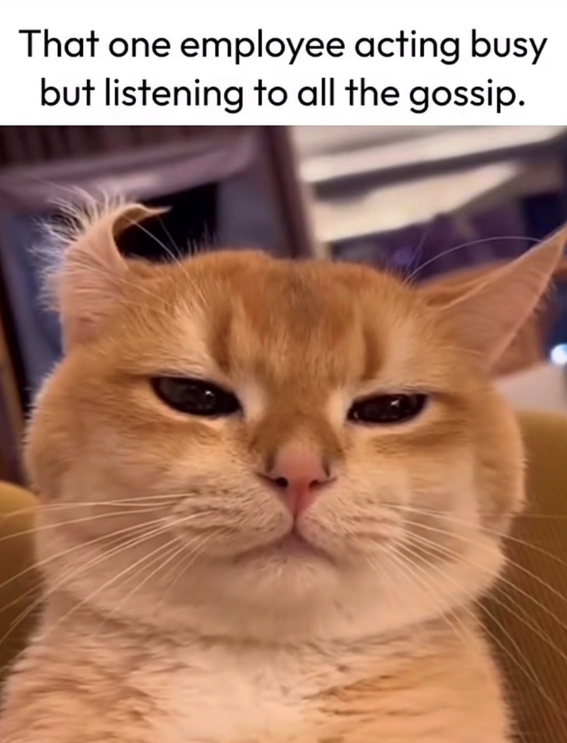 That one employee acting busy but listening to all the gossip.