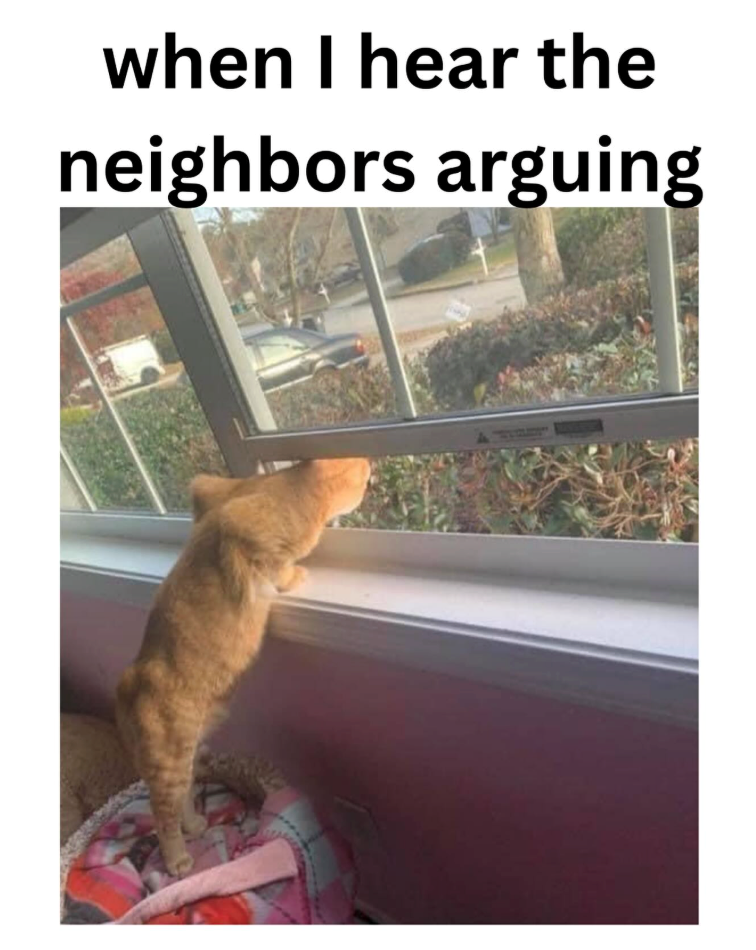 when I hear the neighbors arguing