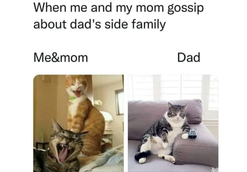When me and my mom gossip about dad's side family Me&mom Dad