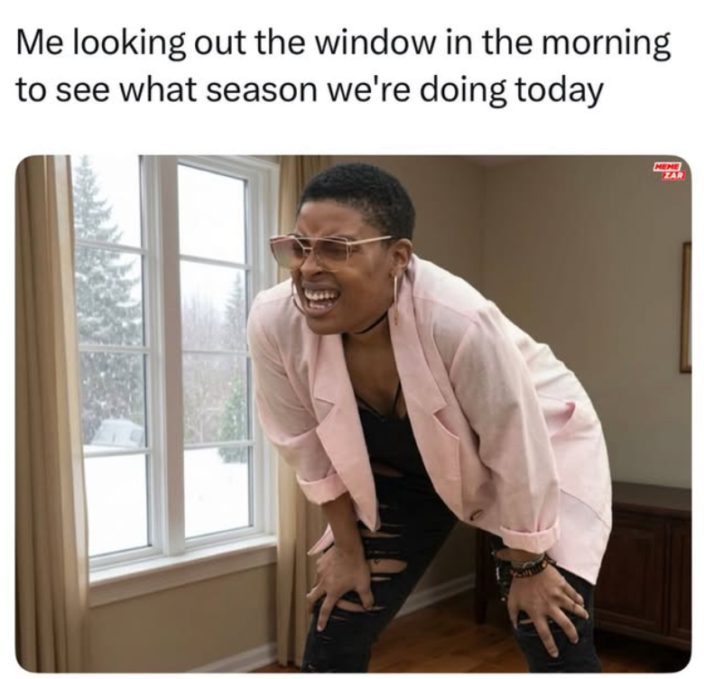 Me looking out the window in the morning to see what season we're doing today MEME ZAR