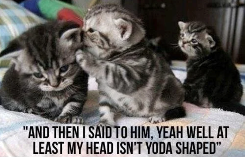 "AND THEN I SAID TO HIM, YEAH WELL AT LEAST MY HEAD ISN'T YODA SHAPED"