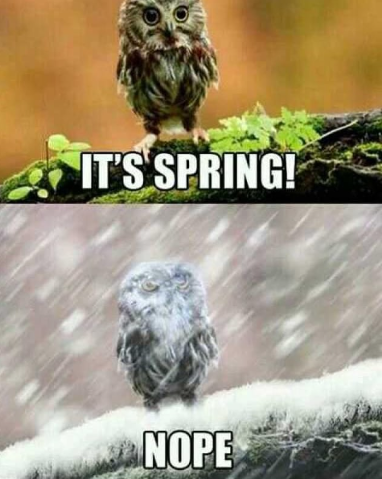 IT'S SPRING! NOPE