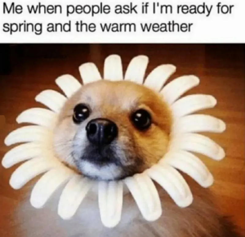 Me when people ask if I'm ready for spring and the warm weather