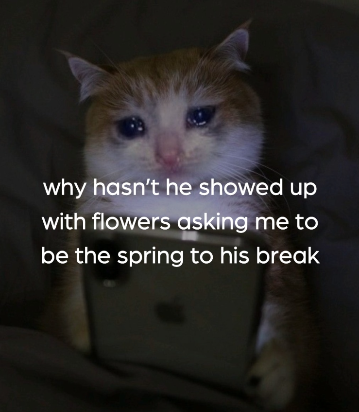why hasn't he showed up with flowers asking me to be the spring to his break