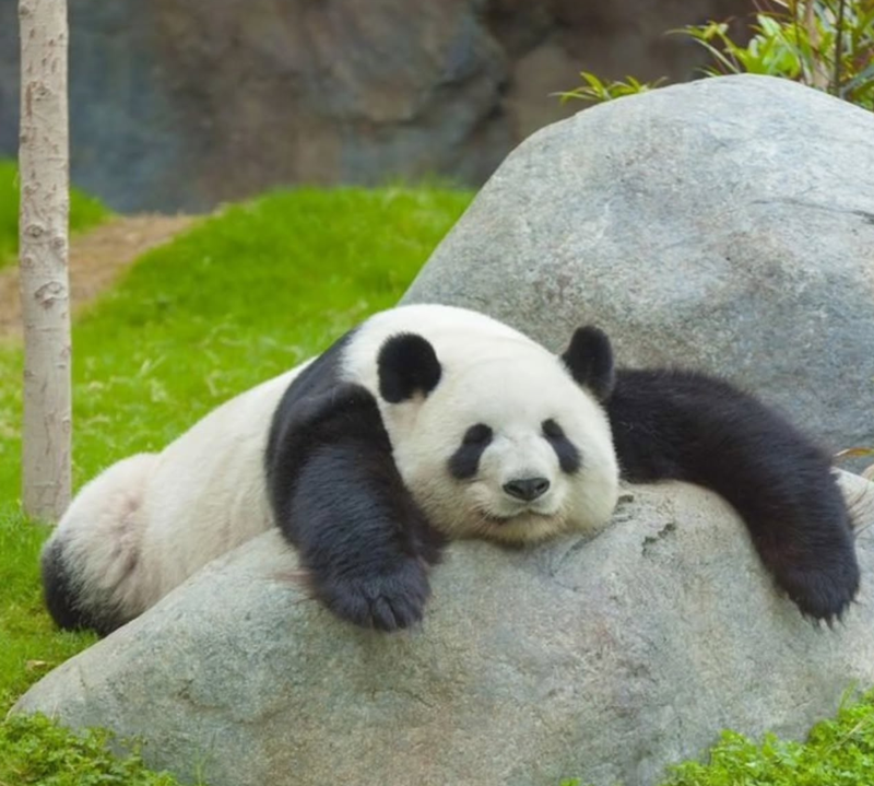 Cheezburger Image 10627263488