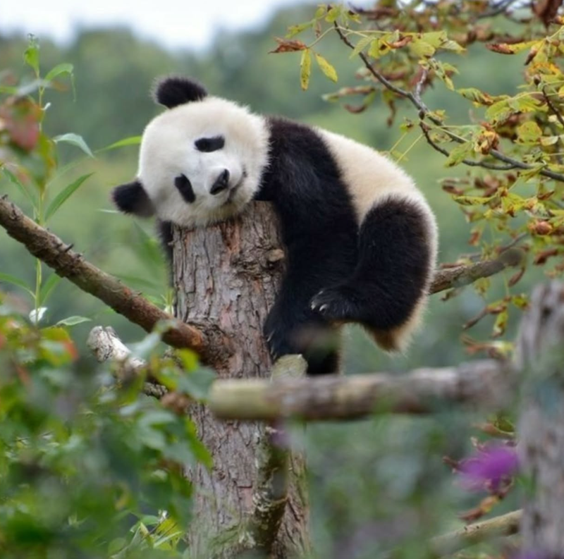 Cheezburger Image 10627263744