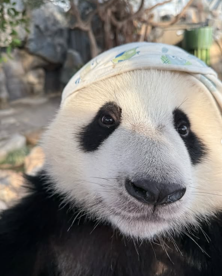 Cheezburger Image 10627264000