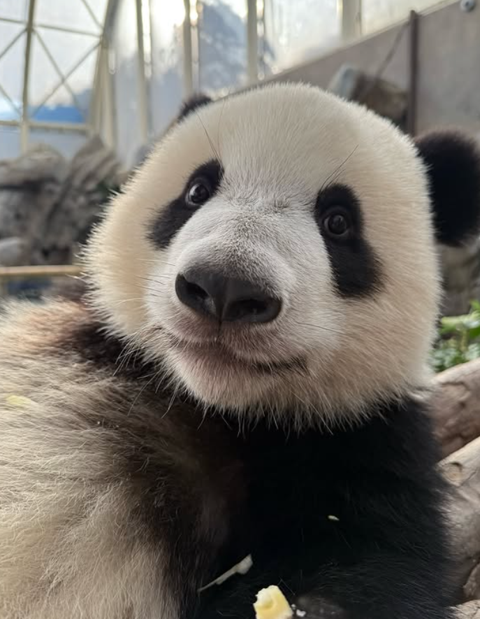 Cheezburger Image 10627264512