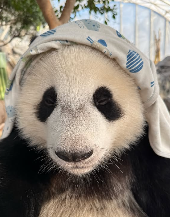 Cheezburger Image 10627264768