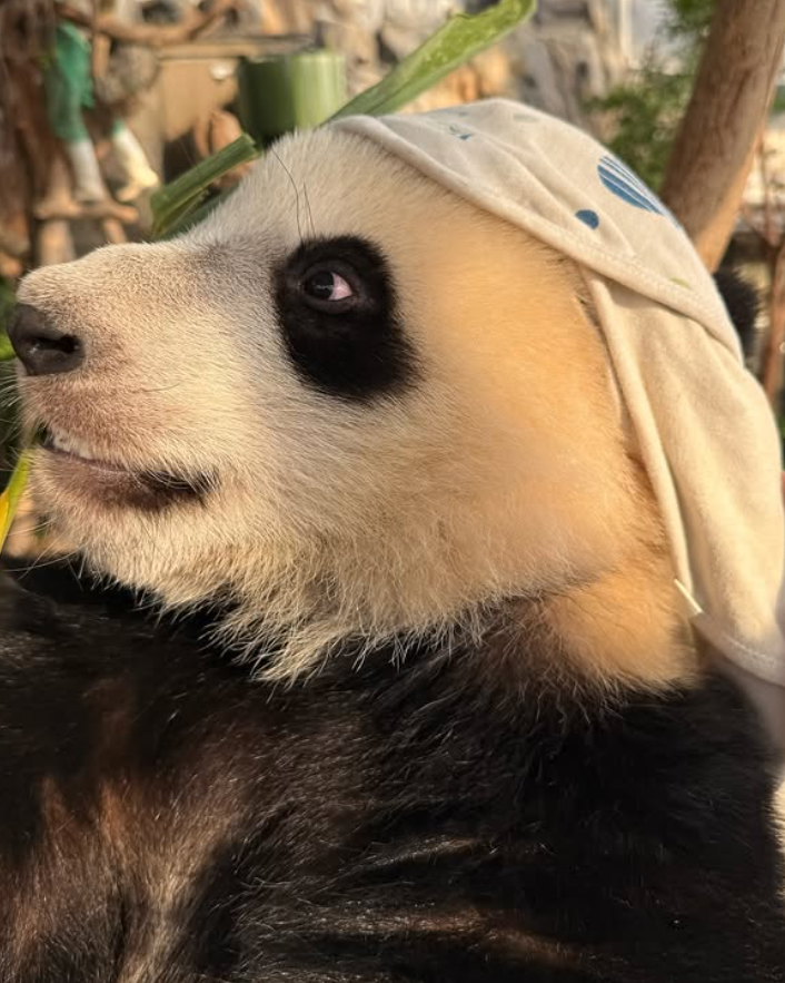 Cheezburger Image 10627265280