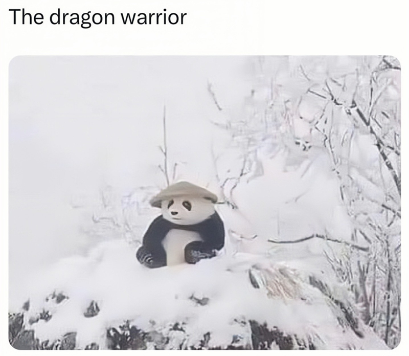 The dragon warrior