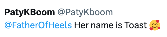 PatyKBoom @PatyKboom @FatherOfHeels Her name is Toast