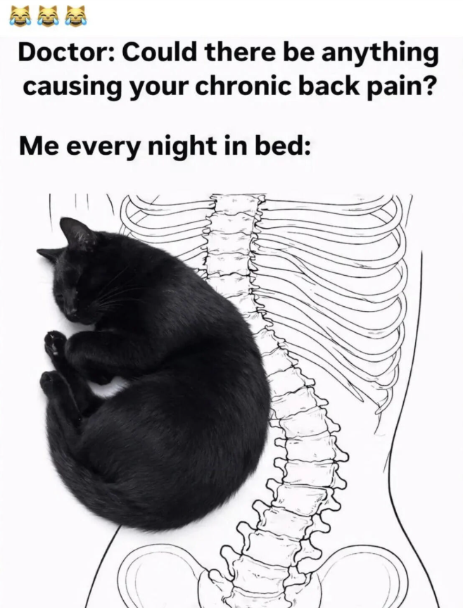 Doctor: Could there be anything causing your chronic back pain? Me every night in bed: