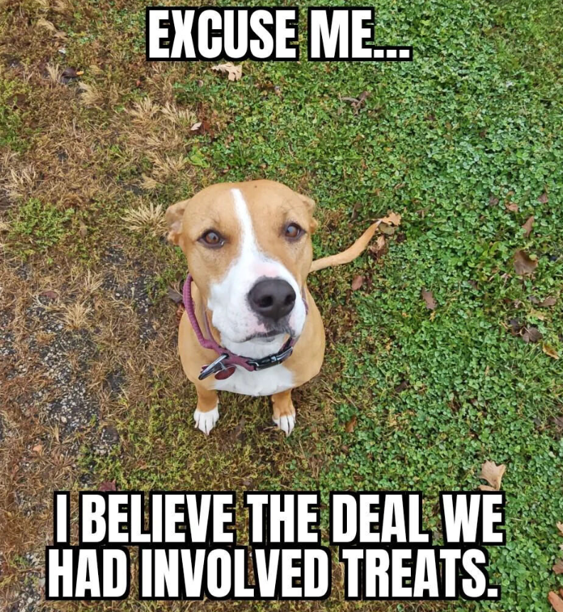 EXCUSE ME... I BELIEVE THE DEAL WE HAD INVOLVED TREATS.