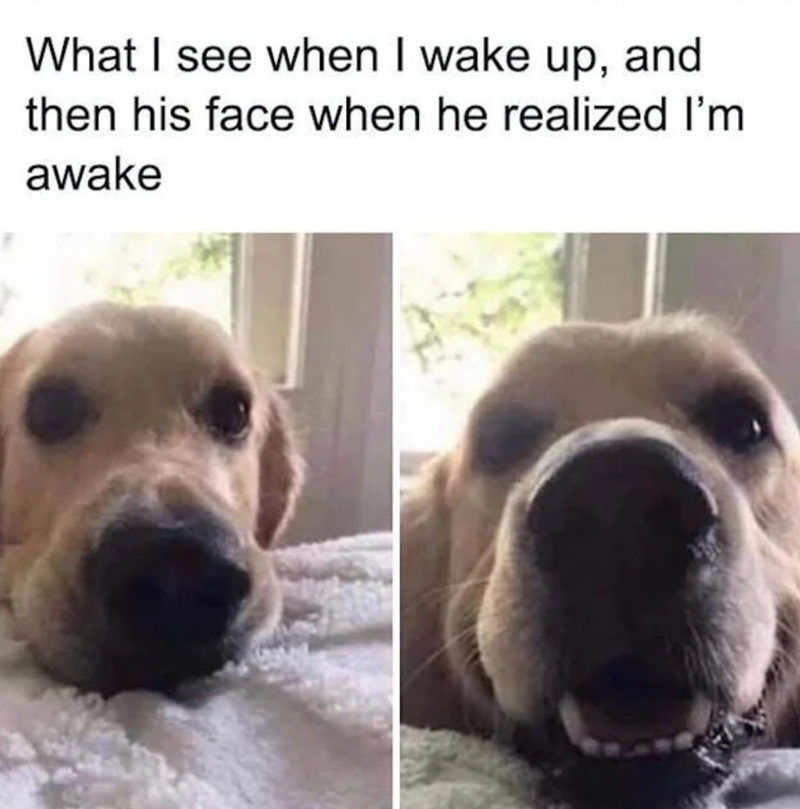 What I see when I wake up, and then his face when he realized I'm awake