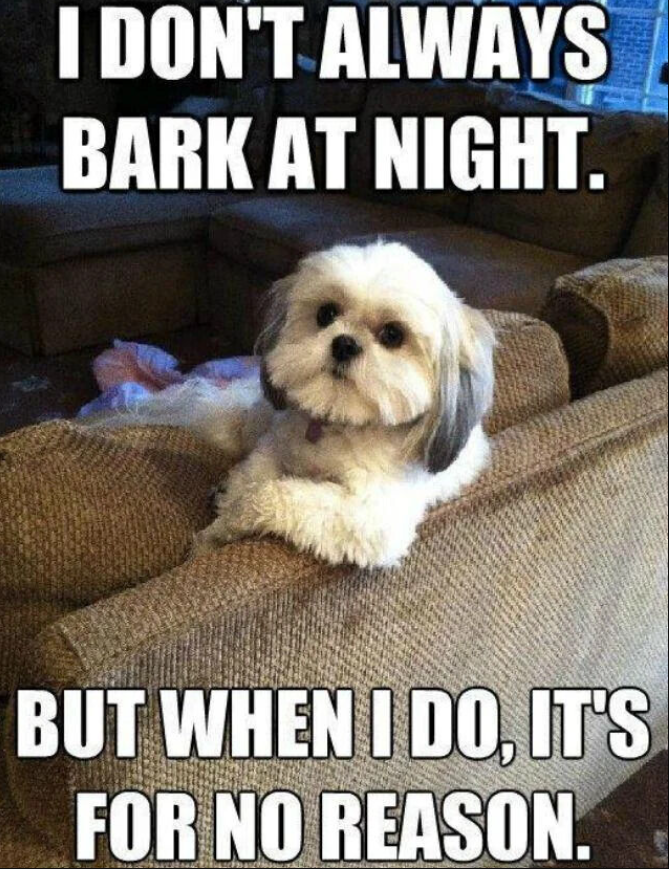 I DON'T ALWAYS BARK AT NIGHT. BUT WHEN I DO. IT'S FOR NO REASON.