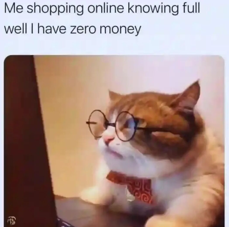 Me shopping online knowing full well I have zero money
