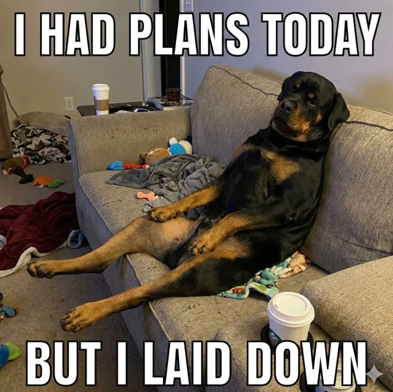 I HAD PLANS TODAY BR BUT I LAID DOWN