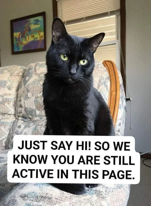 JUST SAY HI! SO WE KNOW YOU ARE STILL ACTIVE IN THIS PAGE.