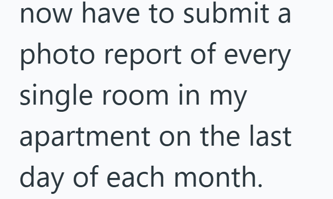 now have to submit a photo report of every single room in my apartment on the last day of each month.
