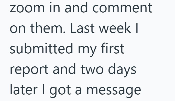 zoom in and comment on them. Last week I submitted my first report and two days later I got a message